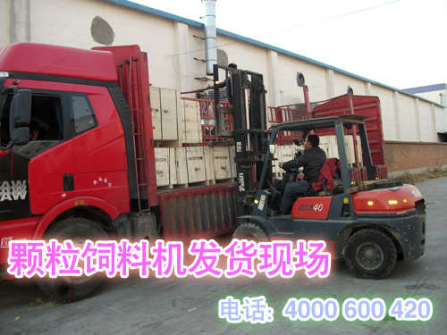 顆粒飼料機發貨現場