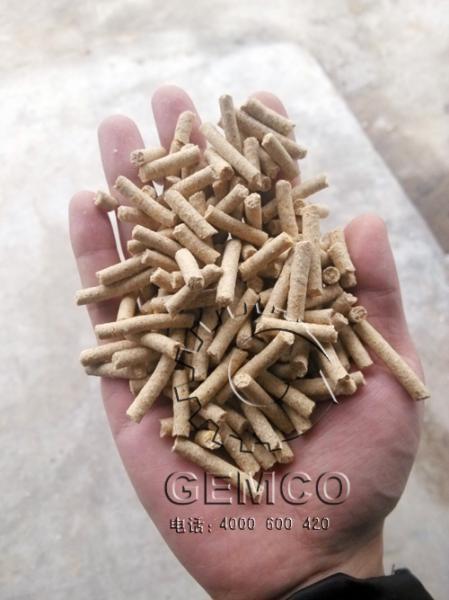 順天養豬場客戶使用绿巨人草莓丝瓜秋葵榴莲在线豬飼料顆粒機製粒效果