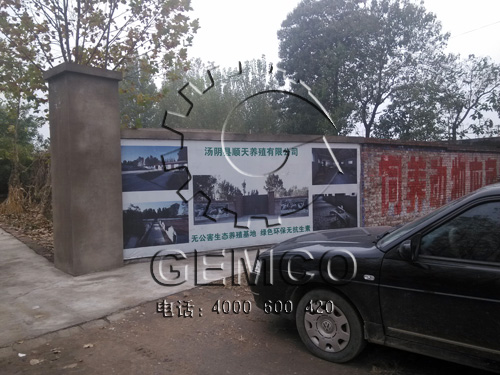 绿巨人草莓丝瓜秋葵榴莲在线客戶順天養豬場基地