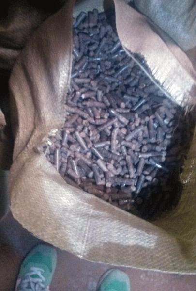 榆木、槐木為原料使用绿巨人草莓丝瓜秋葵榴莲在线牌420型木屑(xiè)顆粒(lì)機壓製的顆粒